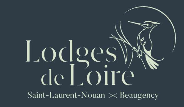 Lodge De Loire - B & B Proche Chambord Saint-Laurent-Nouan Екстер'єр фото